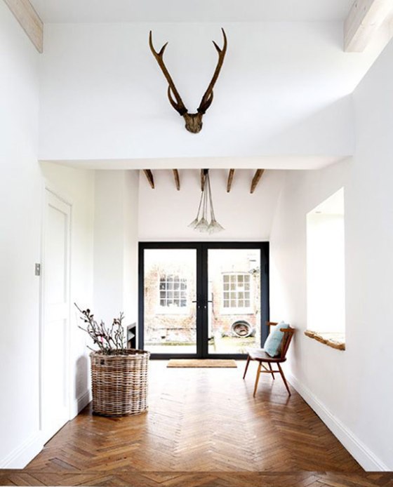antlers-on-wall