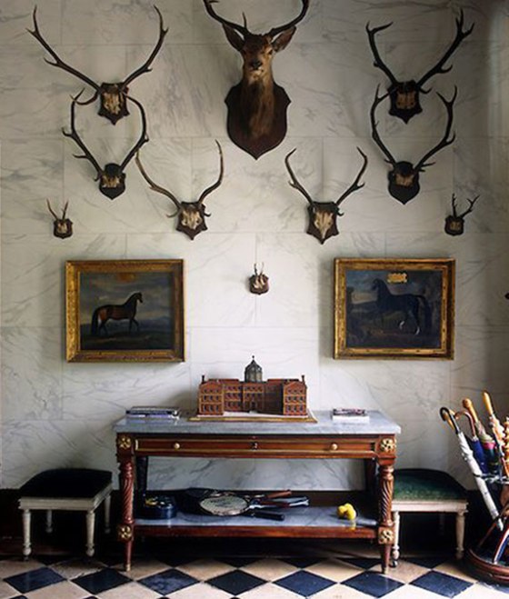 antlers-on-wall2